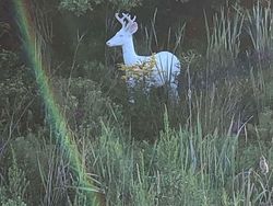 Deretan Foto Kejadian di Alam yang Mencengangkan