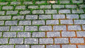 Bukan hasil Photoshop gradasi rumput ini. Foto: Bored Panda