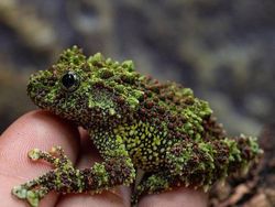 Deretan Foto Kejadian di Alam yang Mencengangkan