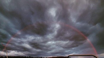 Pelangi hanya warna merah di Finlandia. Foto: Bored Panda