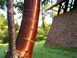 Deretan Foto Kejadian di Alam yang Mencengangkan