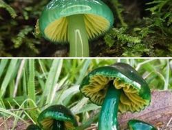 Deretan Foto Kejadian di Alam yang Mencengangkan