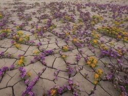 Deretan Foto Kejadian di Alam yang Mencengangkan