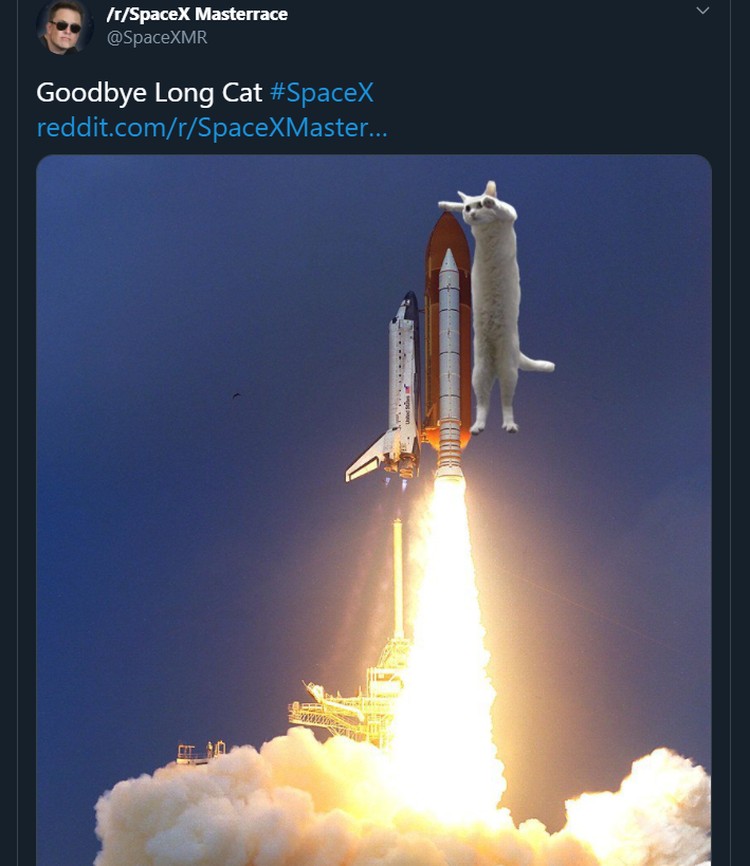 Meme Longcat Meme mengharukan mengenang kepergian Longcat