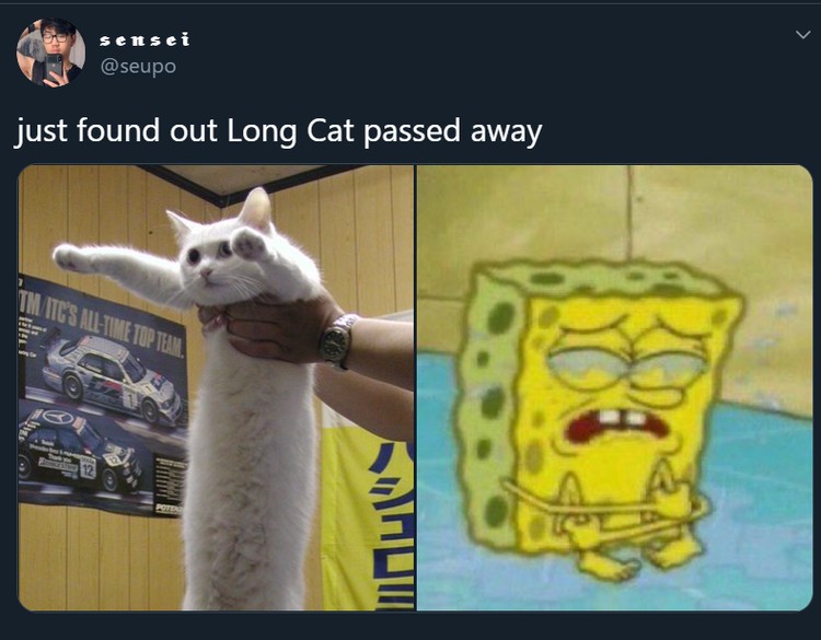 Meme Longcat Meme mengharukan mengenang kepergian Longcat