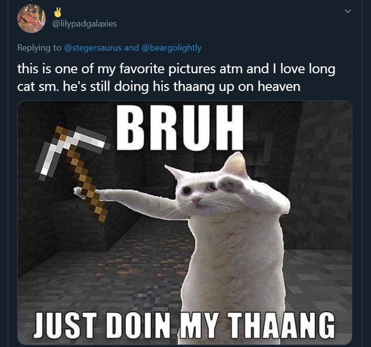 Meme Longcat Meme mengharukan mengenang kepergian Longcat