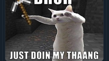 Foto Longcat pertama kali diunggah di situs 2chan antara tahun 2004 dan 2005 oleh seorang pria yang berasal dari Jepang. Foto: Twitter