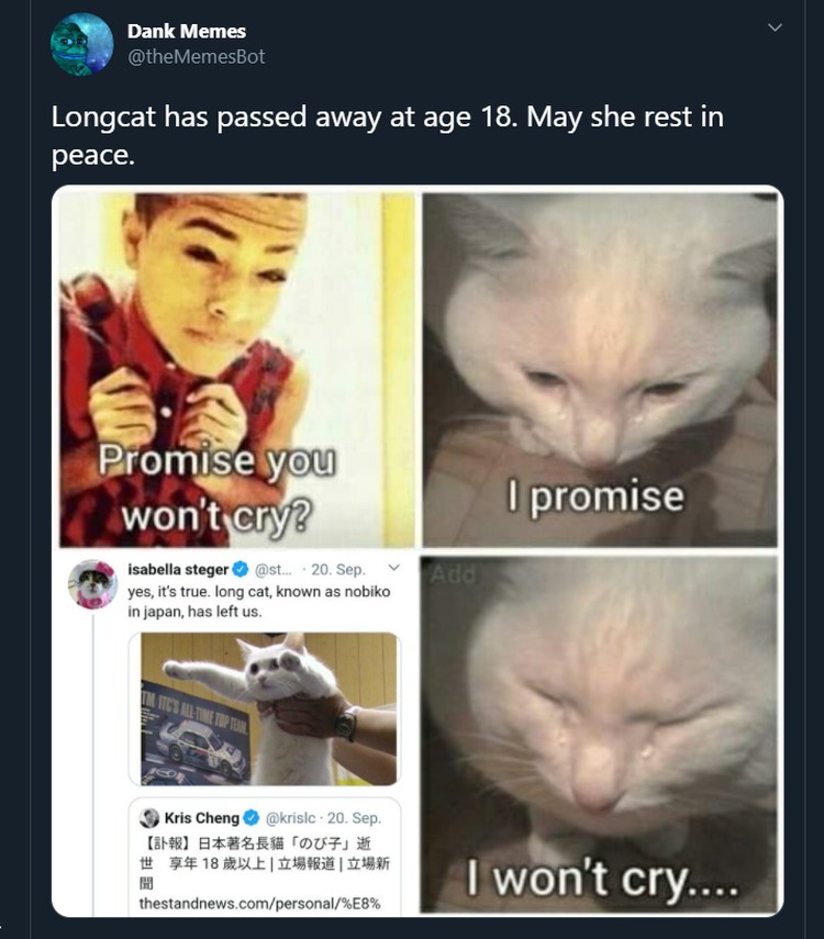 Meme Longcat Meme mengharukan mengenang kepergian Longcat