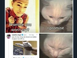 Meme Mengharukan Kenang Kucing Longcat