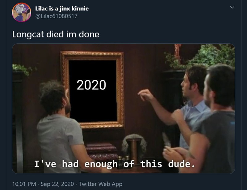 Meme mengharukan mengenang kepergian Longcat