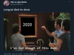 Meme Mengharukan Kenang Kucing Longcat