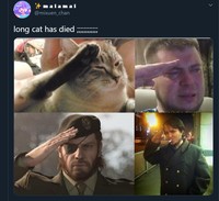 Meme mengharukan mengenang kepergian Longcat