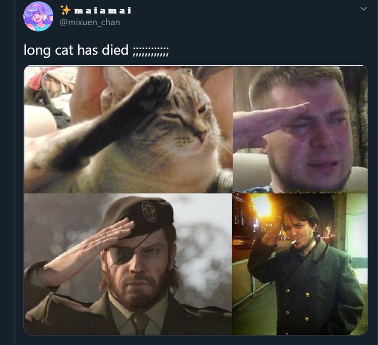 Meme Longcat Meme mengharukan mengenang kepergian Longcat