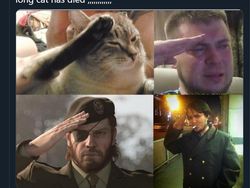 Meme Mengharukan Kenang Kucing Longcat