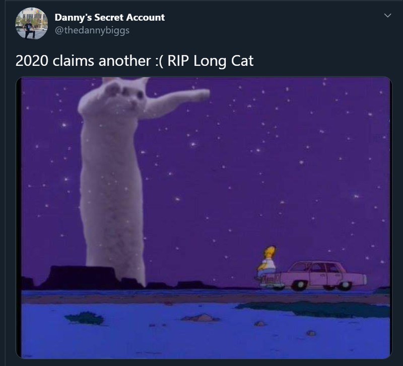 Meme mengharukan mengenang kepergian Longcat