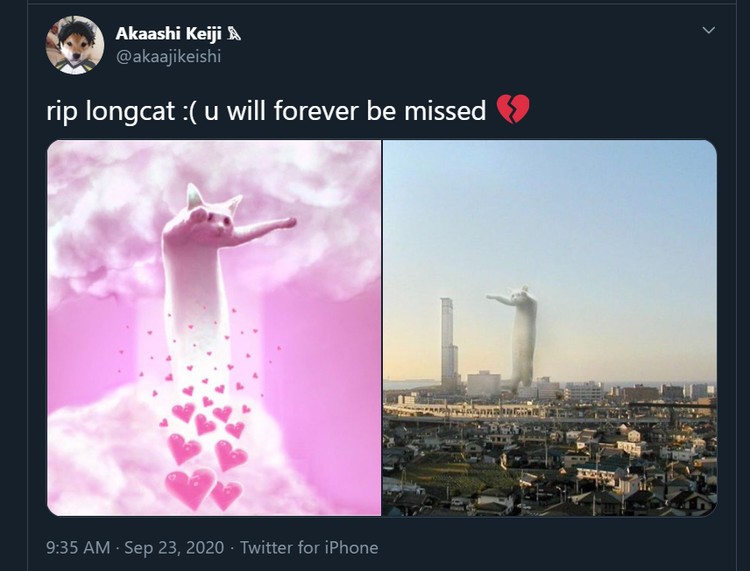 Meme Longcat Meme mengharukan mengenang kepergian Longcat