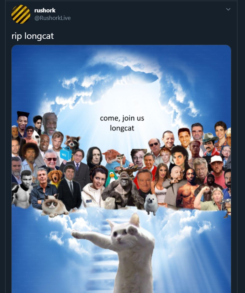 Meme mengharukan mengenang kepergian Longcat