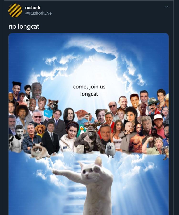 Meme Longcat Meme mengharukan mengenang kepergian Longcat