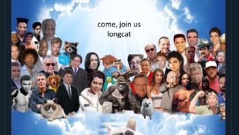 Nobiko, kucing putih yang dikenal sebagai meme Longcat mati di usia 18 tahun. Foto: Twitter