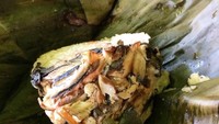 Selain di Trenggalek, di Ponorogo dan kota lain di Jawa Timur juga ada nasi gegok. Lauknya selain teri ada ikan laut hingga potongan ayam. Harganya Rp 5 ribu saja. Foto : Instagram @kuliner_masnanda