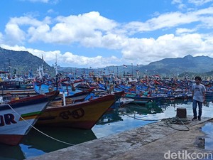 Ribuan Nelayan Trenggalek Didorong Ikut Lelang Ikan Online