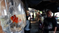 Pembeli tidak hanya warga Bandung. Pasar semakin ramai saat hari Sabtu dan Minggu.