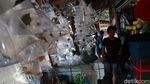 Pedagang Ikan Hias Raup Cuan di Tengah Pandemi