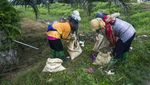 Potret Muram Kehidupan Para Buruh Perkebunan Sawit