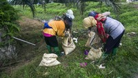 Mengutip dari AP, bersama-sama, dua negara yakni Malaysia dan Indonesia diketahui menghasilkan sekitar 85 persen dari perkiraan $ 65 miliar pasokan minyak sawit dunia. AP Photo/Binsar Bakkara.