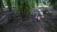 Sebagian besar dari para buruh tersebut mengatakan bahwa mereka ditipu, diancam, atau dipaksa untuk membayar hutang yang tak dapat dilunasi. Sementara yang lain mengatakan mereka secara teratur mendapat perlakuan tidak menyenangkan dari pihak berwenang, terjaring penggrebekan, dan ditahan di sejumlah fasilitas yang padat. AP Photo/Binsar Bakkara.