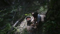 Geliat industri sawit tak lepas dari sejumlah kontroversi terkait dengan isu lingkungan hingga isu kemanusiaan yang membayangi sejumlah buruh di perkebunan sawit. AP Photo/Binsar Bakkara.