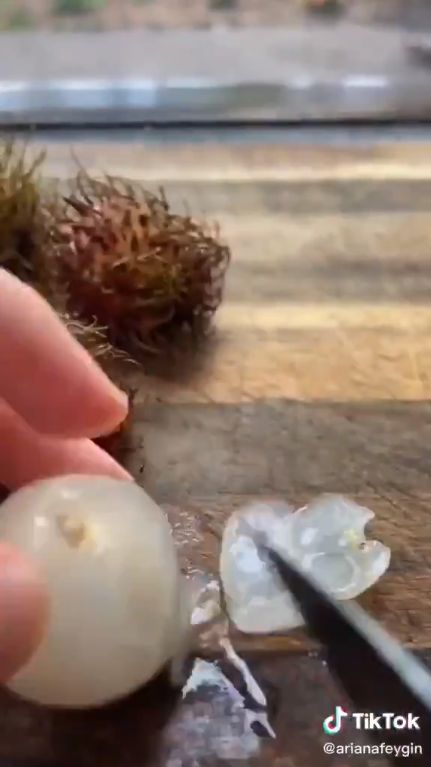 Rambutan Diiris Pakai Pisau, Cara Aneh Bule Makan Rambutan Ini Viral