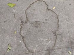 Potret Lucu Benda Mati Dibuat Hidup
