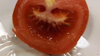 Pareidolia sendiri adalah fenomena psikologis dimana pikiran kita menciptakan pola yang familier. Foto: Instagram/keithlarsen