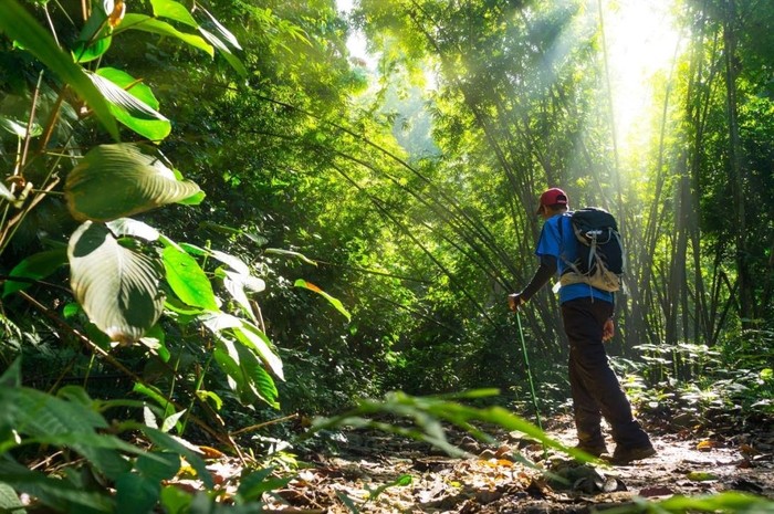 Wisata Alam