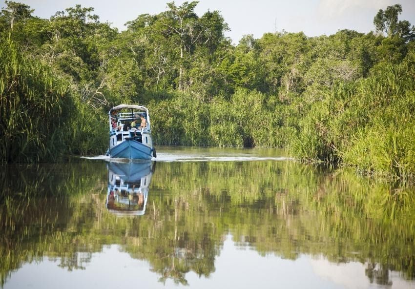 Rekomendasi Wisata Alam Sambil Mengenal Kekayaan Flora dan Fauna