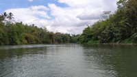 Rupanya dari awalnya cuma iseng belaka, kini banyak orang yang tertarik buat mencoba. Alhamdulillah ternyata hasilnya bisa dinikmati oleh banyak orang terutama pada Sabtu dan Minggu banyak pengunjung datang dan bisa mengenal gethek itu apa, imbuh Hani, pengelola wisata itu. 