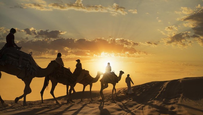 Turis berparade naik unta di Abi Dhabi Empty Quarter Desert