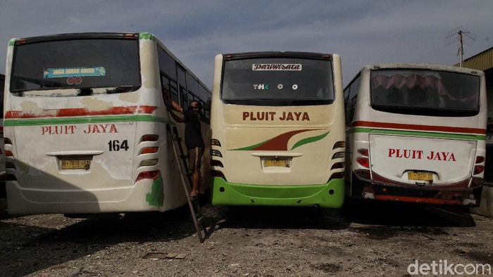 Dampak pandemi berpengaruh ke sektor transportasi. Salah satunya armada bus pariwisata Pluit Jaya yang kini sudah di ujung tanduk.