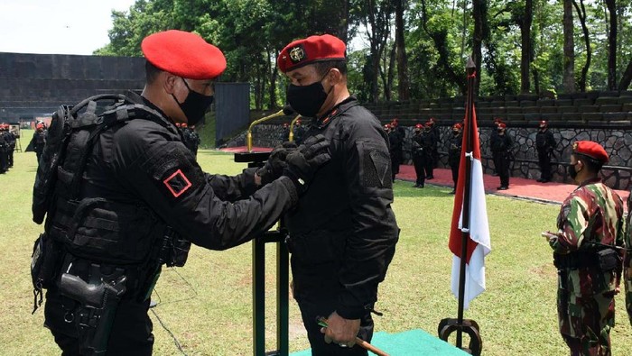 Danjen Kopassus Terima Brevet Anti Teror Komandan Jenderal Kopassus Brigjen TNI Mohamad Hasan menerima Brevet Anti Teror. Sebelum menerima Brevet Anti teror, Danjen Kopassus mengikuti serbuan unit.