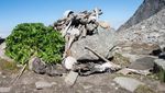 Potret Hal-hal Menakutkan yang Ditemukan di Dasar Danau
