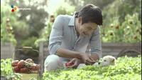Berada di kebun sayuran, Hyun Bin memetik tomat dan sayuran lainnya. Ia juga bermain dengan anjing lucu di sana. Foto: Hyun Bin SNS