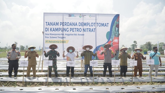 Jajaran manajemen Petrokimia Gresik bersama Pemda Konawe melakukan tanam perdana di Kampung Petro Nitrat