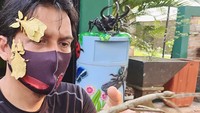 Bahkan ia menyebutkan jika hewan-hewan miliknya tersebut bisa bernilai hingga miliaran rupiah. Dok. Instagram/luckyhakimofficial