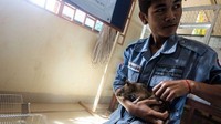 Sejak muda, Magawa sudah dilatih oleh sebuah kelompok amal berenama Apopo untuk mendeteksi alat peledak. (Getty Images)