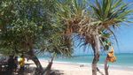 Potret Pantai Kuta Lombok yang Menawan