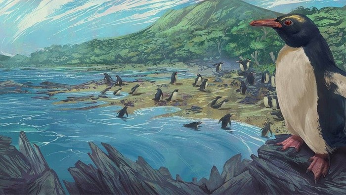 penguin purba