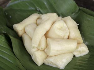 Tape Singkong Halal Tapi Bisa Jadi Makanan Haram
