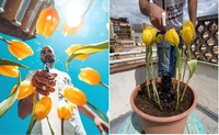 Trik bikin foto ciamik dengan mudah saat di rumah aja