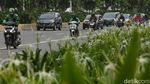Volume Kendaraan di DKI Jakarta Diklaim Turun